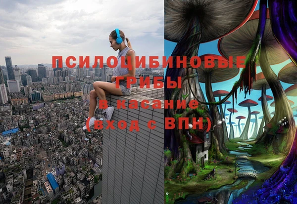 спиды Абинск