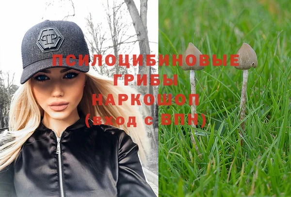 спиды Абинск