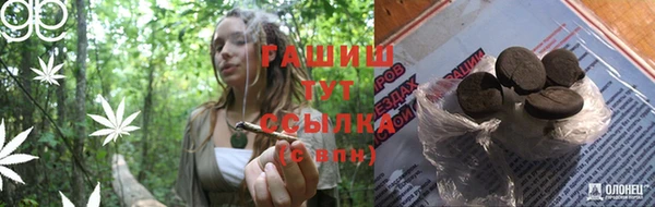 спиды Абинск