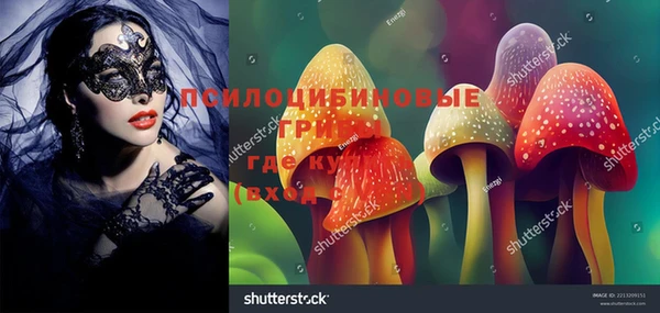 гашик Алзамай
