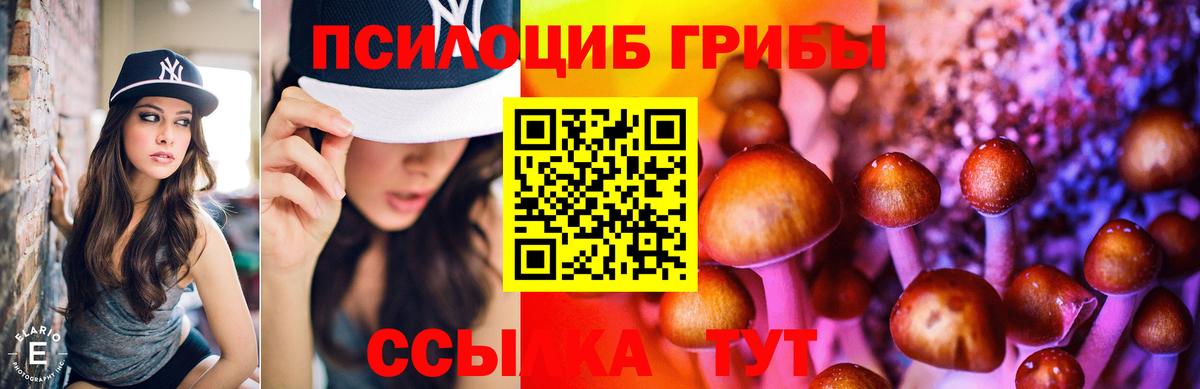 Псилоцибиновые грибы Magic Shrooms  Вход с VPN  Кашира 